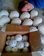 Greg Geffner, Man Brains And His Wiffle Balls