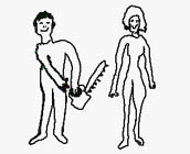 Lady Sawed In Half